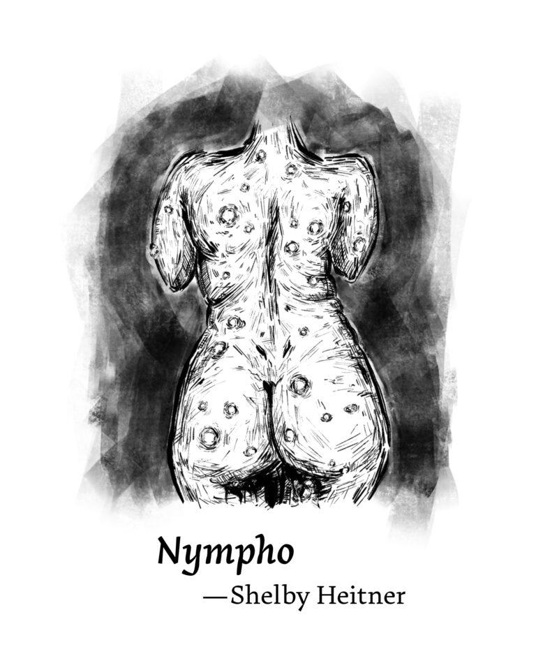 Illustration for Nympho by Shelby Heitner