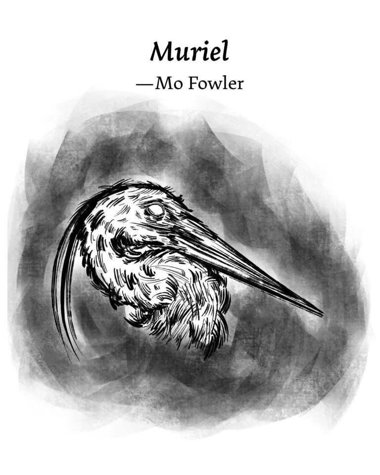 Illustration for Muriel by Mo Fowler