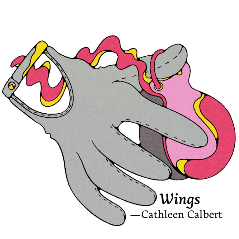 Illustration for Wings by Cathleen Calbert