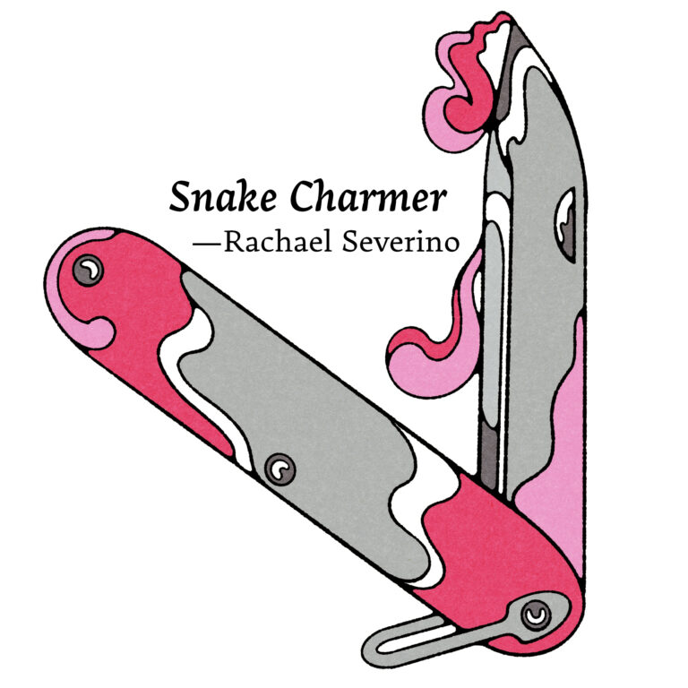 Illustration for Snake Charmer by Rachael Severino