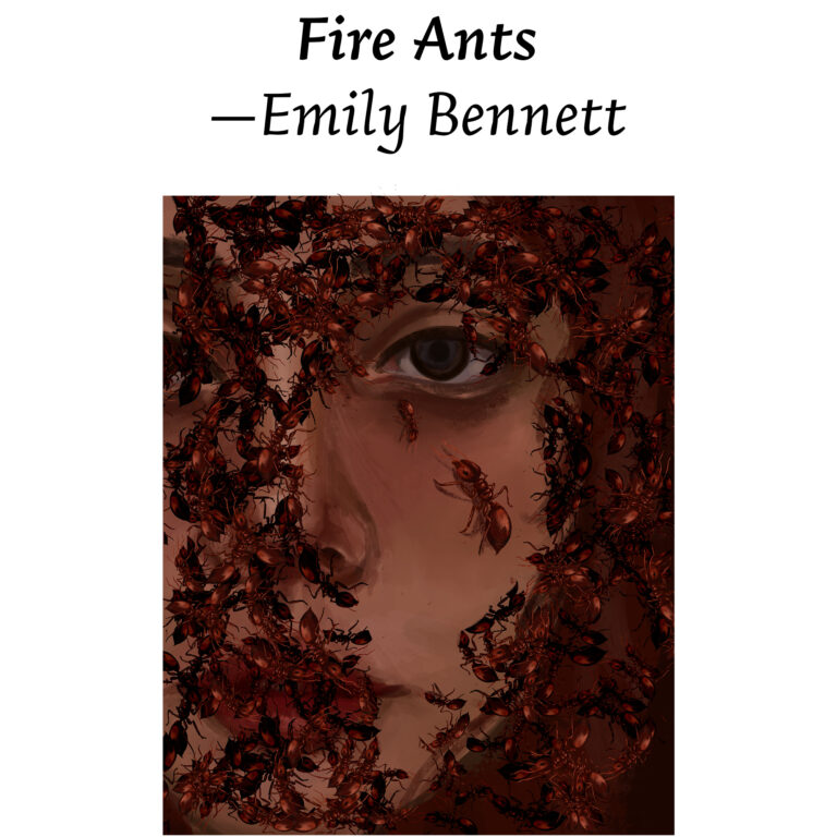 Illustration for "Fire Ants" by Emily Bennett. Features the left half of a woman's face obscured by dark red ants crawling all over her skin. Only her eye is visible to us.