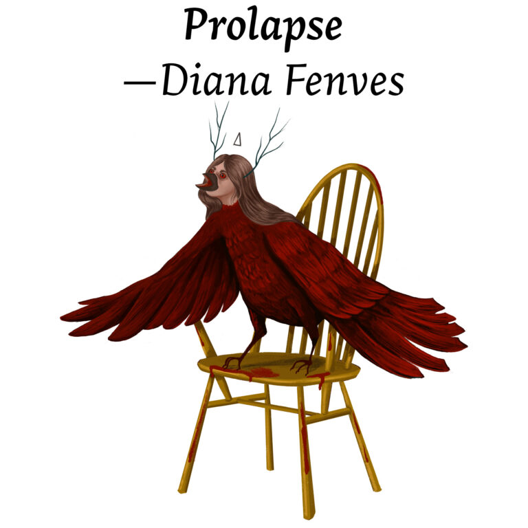 Illustration for Prolapse by Diana Fenves
