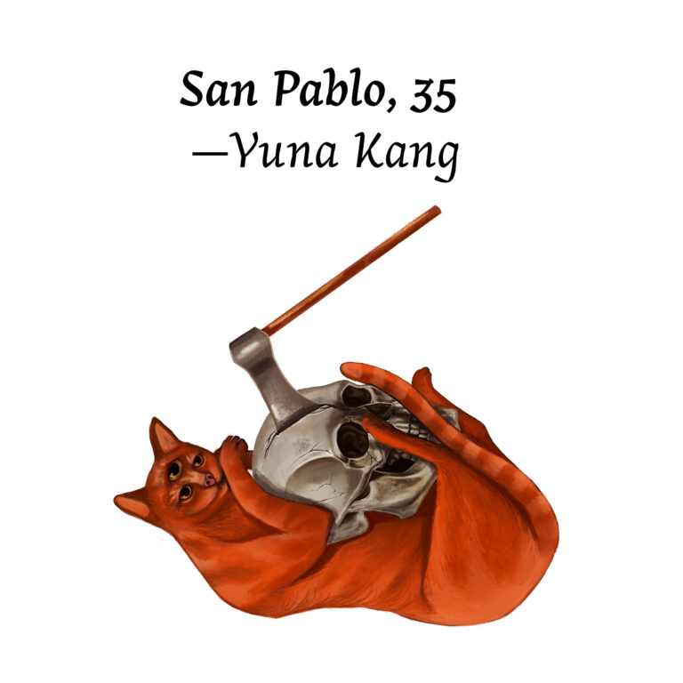 Illustration for "San Pablo, 35" by Yuna Kang. Features an orange cat lying on its back. The cat has a third eye on its forhead and cradles a skull in its paws. There is an axe lodged in the top of the skull.