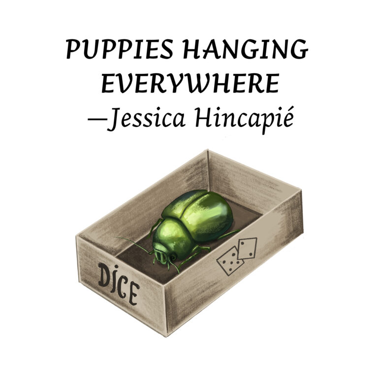 Illustration for "Puppies Hanging Everywhere" by Jessica Hincapié. Features an open dice box with an emerald green beetle inside.