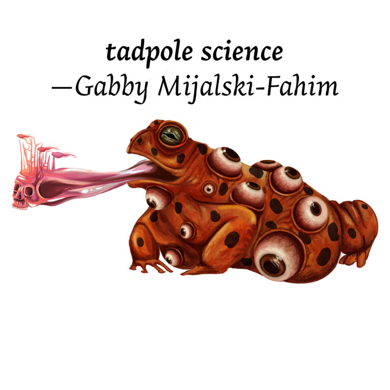 Illustration for "tadpole science" by Gabby Mijalski-Fahim. Features an orange toad speckled with black spots and protruding eyeballs. The toad's tongue is a pink skull and reaches out from its mouth.