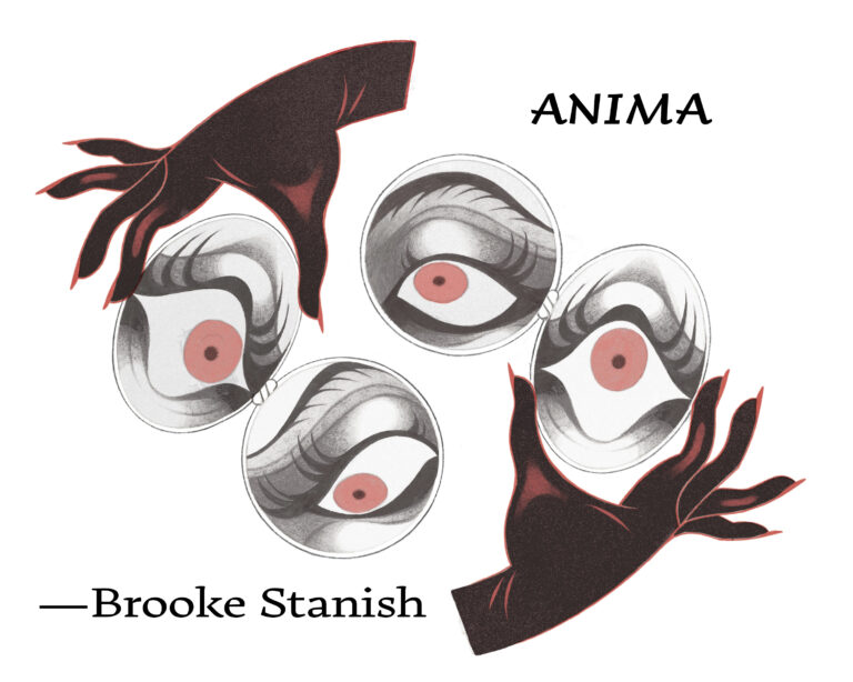 Illustration for "Anima" by Brooke Stanish. Features four red eyes with eyelashes floating against a white space. There are two dark brown hands. Each holds one eyeball between the thumb and index finger.