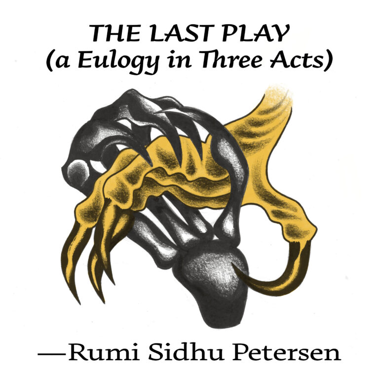 Illustration for "THE LAST PLAY (a Eulogy in Three Acts)" (Rumi Sidhu Petersen). A skeletal black hand clutches yellow bird talons in its grip.