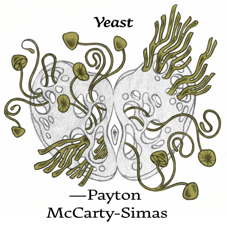 Illustration for "Yeast" (Payton McCarty-Simas). Features gray vaginal pubic bones. Sprouting from various places and holes in the bones are green mushrooms and fungi.