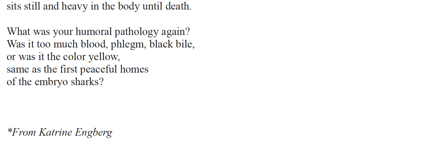 sits still and heavy in the body until death.
What was your humoral pathology again?
Was it too much blood, phlegm, black bile,
or was it the color yellow,
same as the first peaceful homes
of the embryo sharks?

*From Katrine Engberg