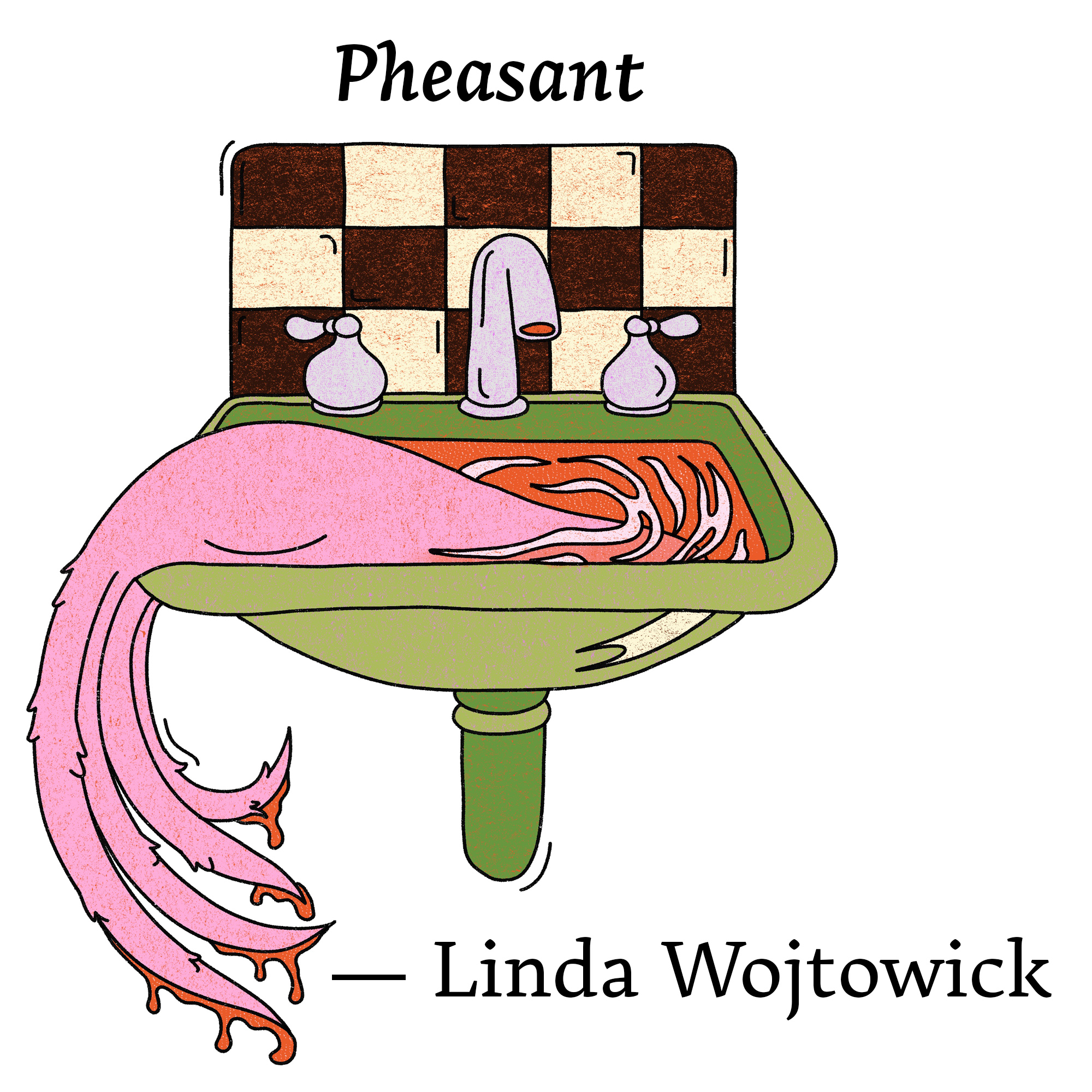 Illustration for "Pheasant" by Linda Wojtowick. A green sink against a black and white checkered blacksplash. What appears to be an exposed pink bird tail / wing emerges from a pool of blood in the sink.