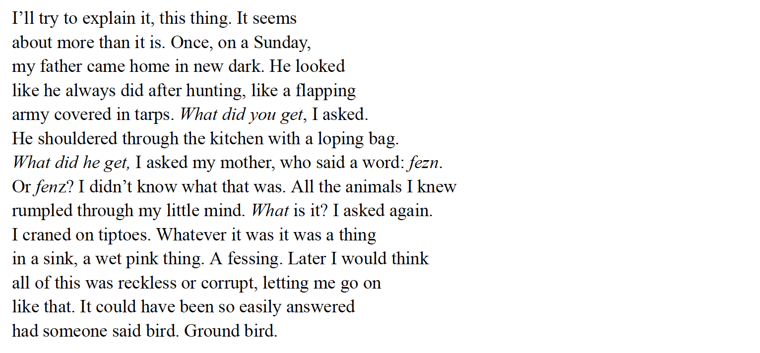 I’ll try to explain it, this thing. It seems
about more than it is. Once, on a Sunday,
my father came home in new dark. He looked
like he always did after hunting, like a flapping
army covered in tarps. What did you get, I asked.
He shouldered through the kitchen with a loping bag.
What did he get, I asked my mother, who said a word: fezn.
Or fenz? I didn’t know what that was. All the animals I knew
rumpled through my little mind. What is it? I asked again.
I craned on tiptoes. Whatever it was it was a thing
in a sink, a wet pink thing. A fessing. Later I would think
all of this was reckless or corrupt, letting me go on
like that. It could have been so easily answered
had someone said bird. Ground bird.